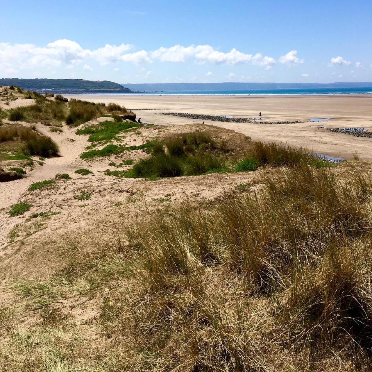 Petrock Holiday Cottages Newton Saint Petrock Esterno foto