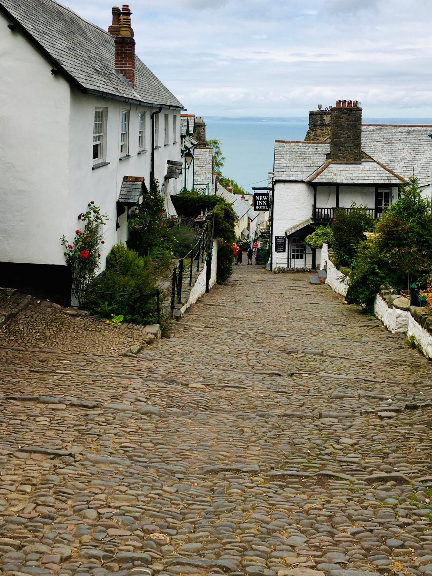 Petrock Holiday Cottages Newton Saint Petrock Esterno foto