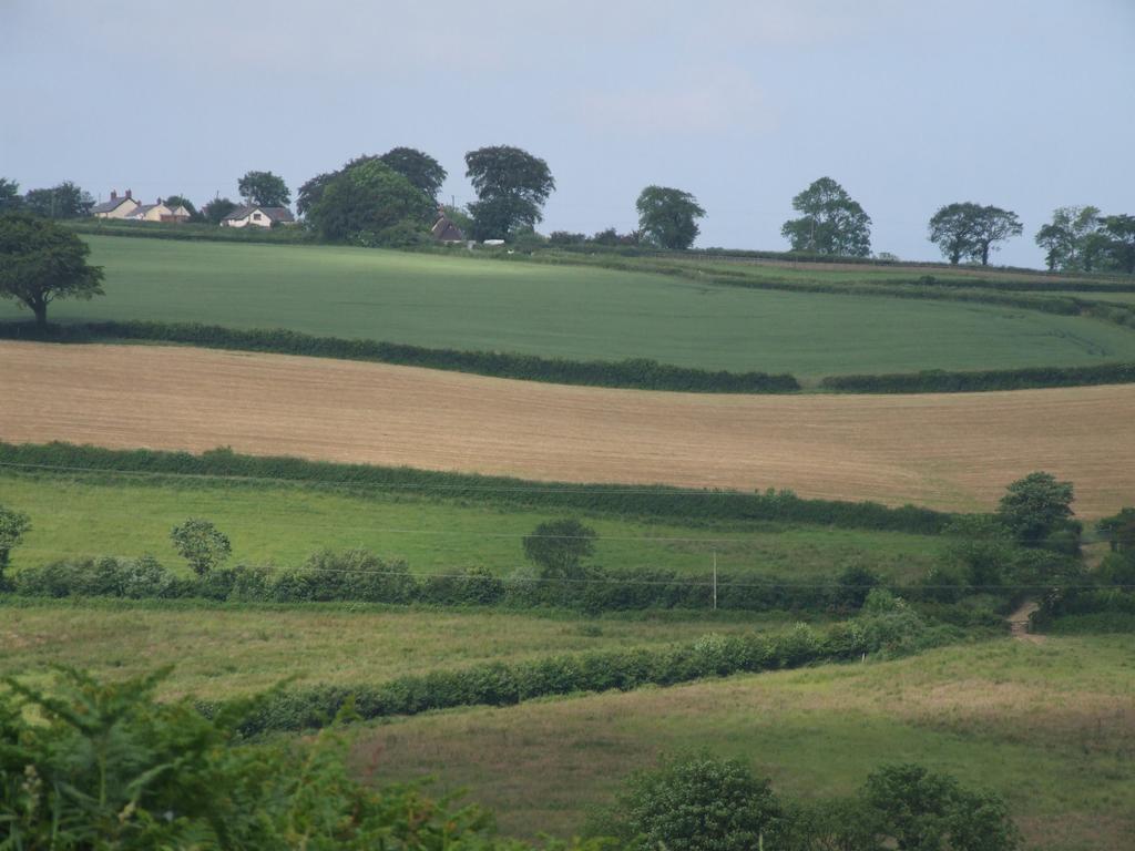 Petrock Holiday Cottages Newton Saint Petrock Esterno foto