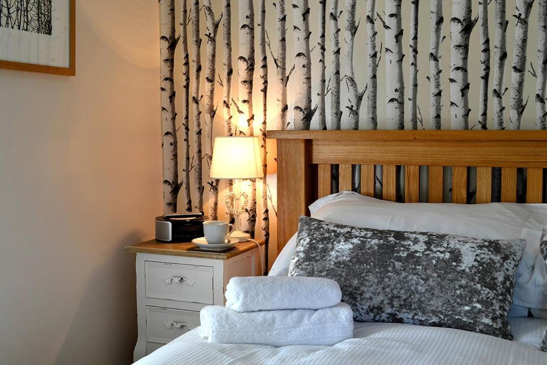 Petrock Holiday Cottages Newton Saint Petrock Esterno foto